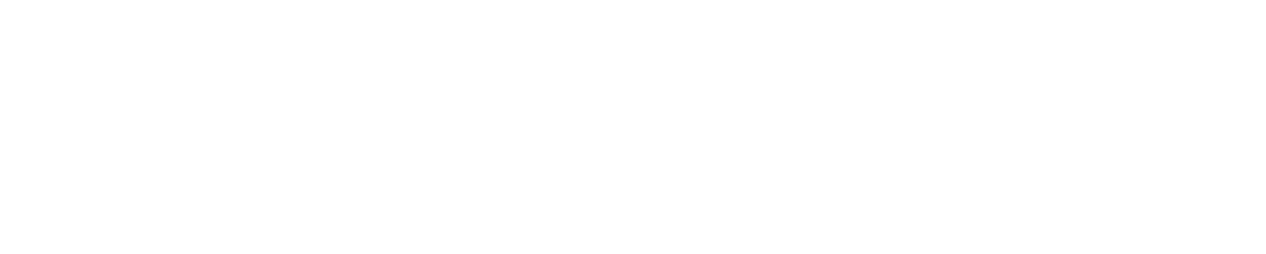 LOGO CLEVER BLANC PNG Logo roadcar